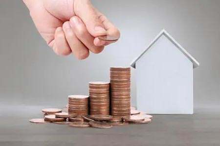 小羊财经直播:揭秘市场动向